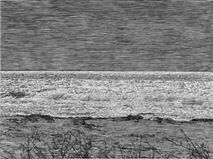 Christiane Baumgartner, Weststrand, Holzschnitt auf Kozo-Papier, 106x136 cm, 2020