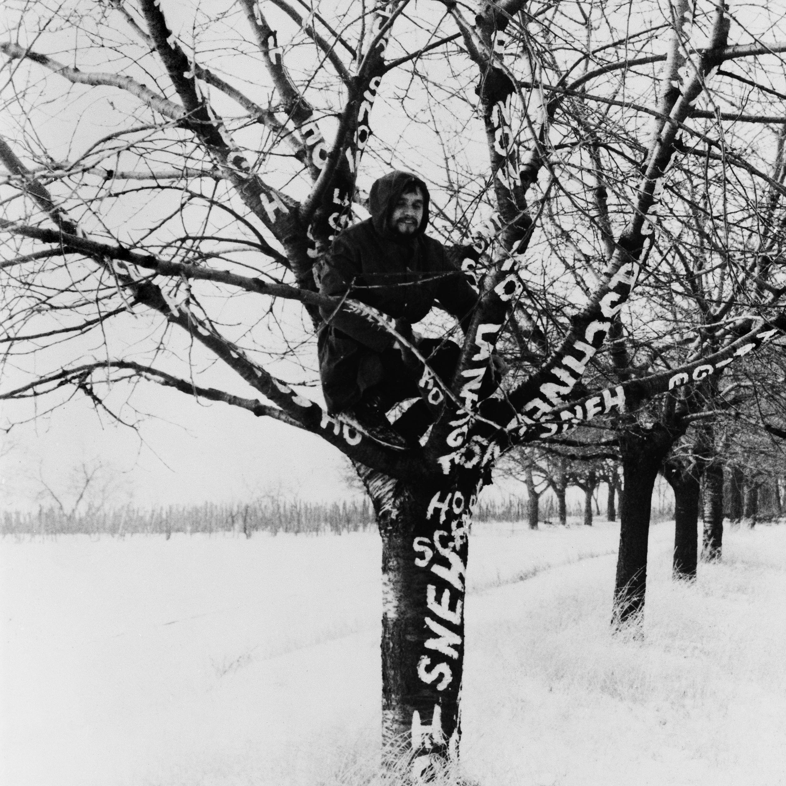 Monogramista T.D Dezider Tóth, Snow on the Tree, 1970